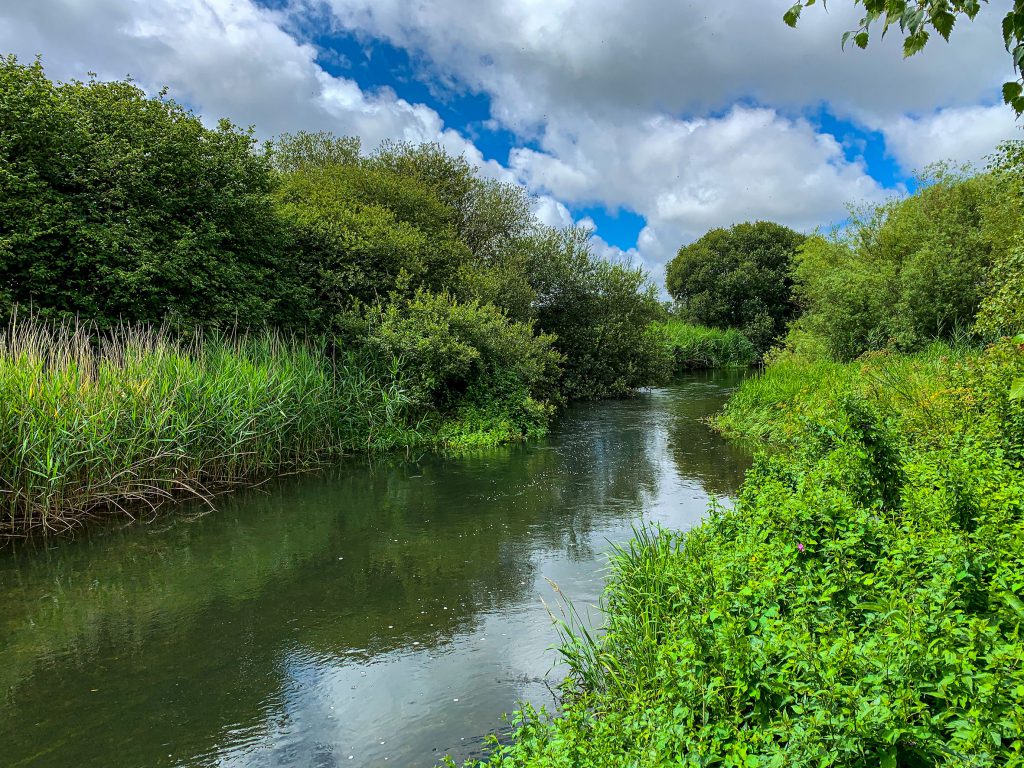 An image of the River Frome