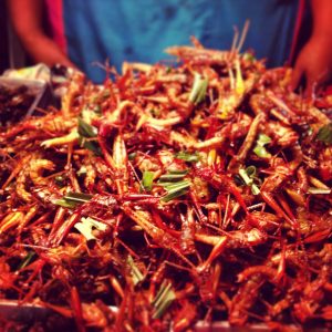 Strange street food in Bangkok, crickets!